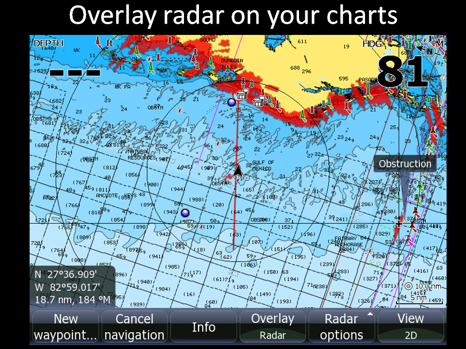 Description of my picture